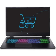 Ноутбук Acer Nitro 17 AN17-42 (NH.QSCEP.001)