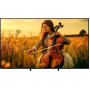 Телевізор Sony K-65XR55B