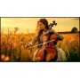 Телевізор Sony K-65XR55B