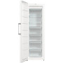 Морозильна камера Gorenje FN619EEW5