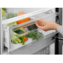 Холодильник Electrolux LNT5ME36U1